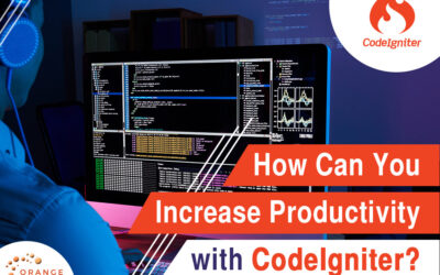 How Can You Increase Productivity with CodeIgniter?